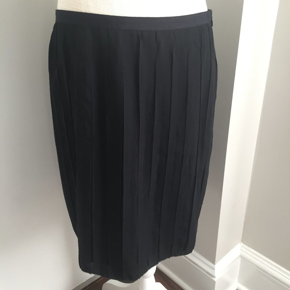 Ann Taylor chiffon skirt 6